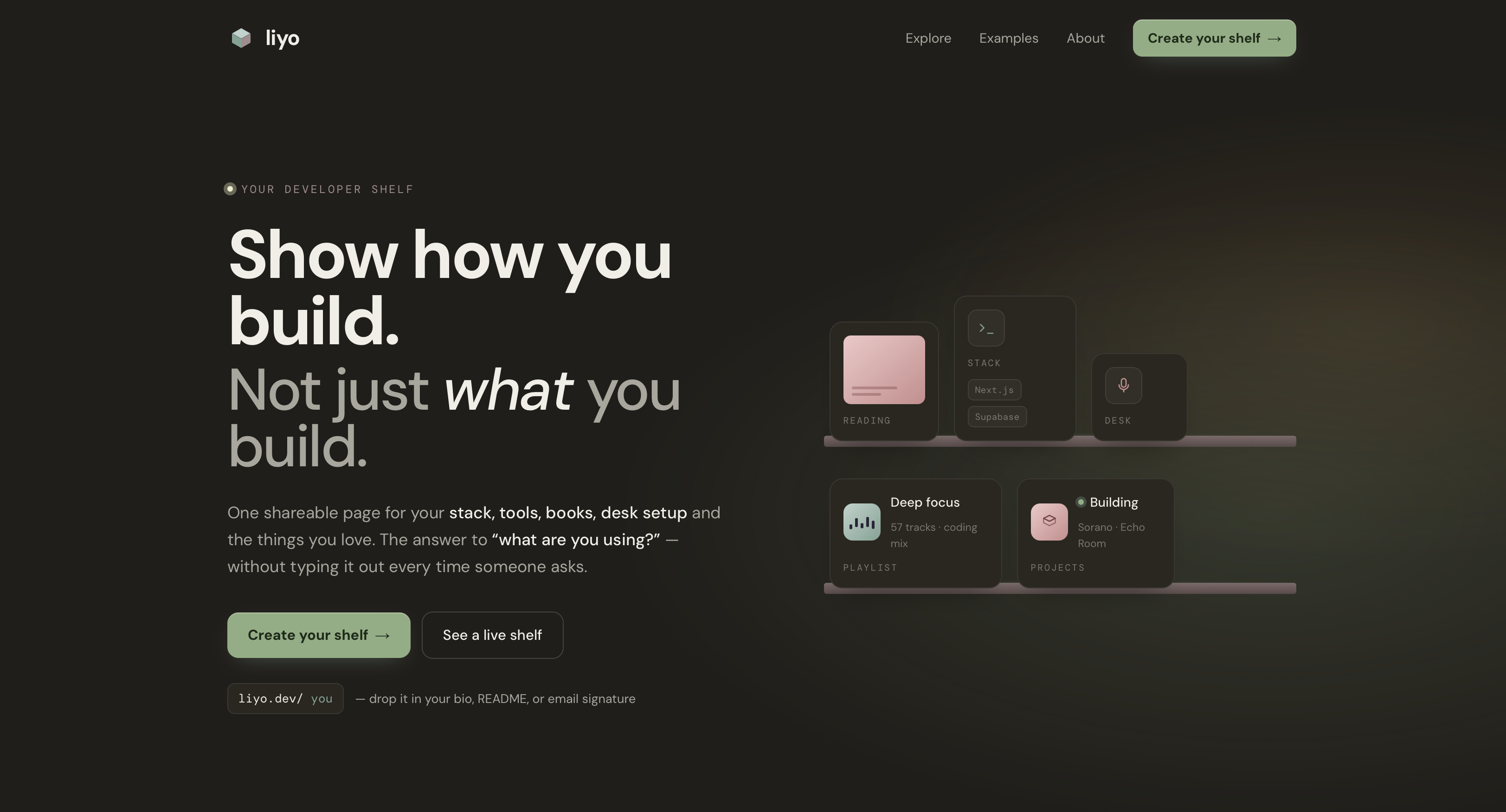 Liyo Dev web app